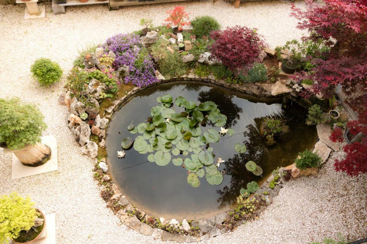 Apartment Beautiful Garden By Rent Istria Poreč Exterior foto